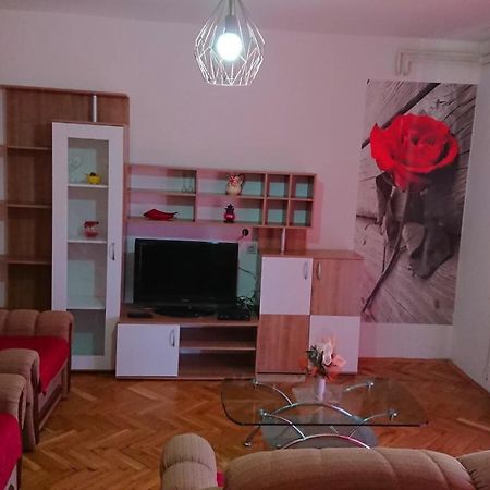Apartments Vesna Kampor Εξωτερικό φωτογραφία