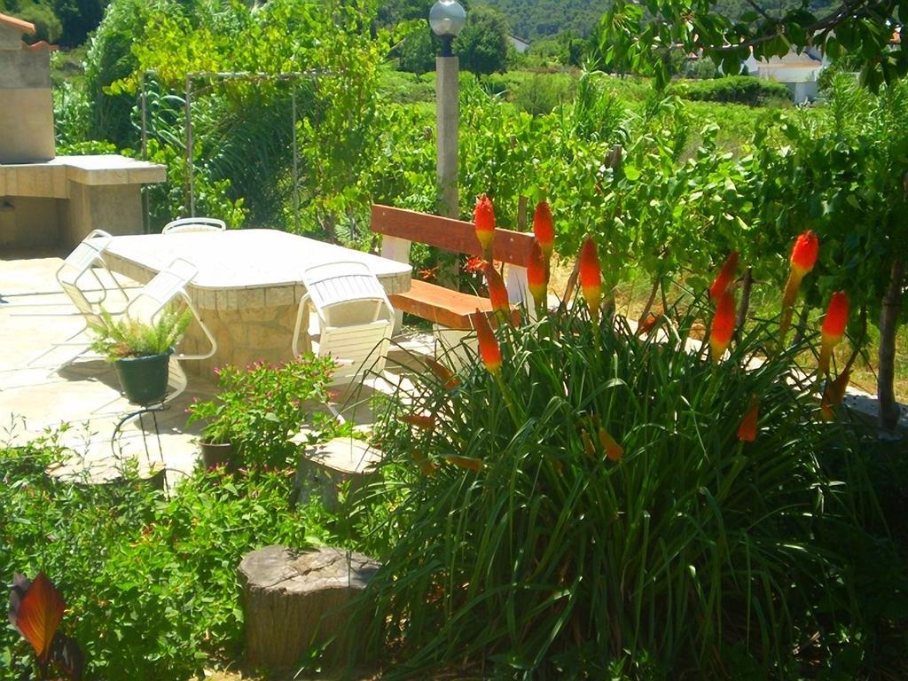 Apartments Vesna Kampor Εξωτερικό φωτογραφία
