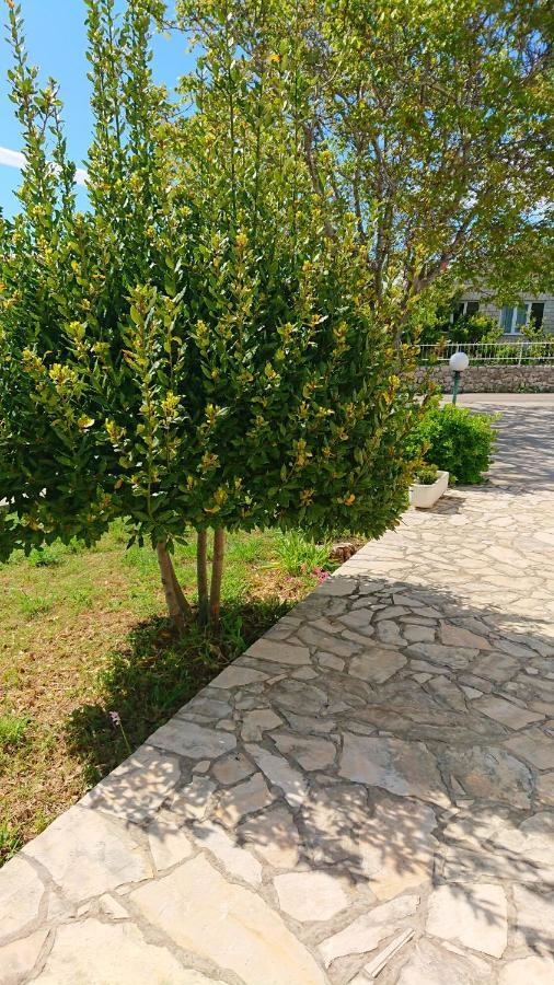 Apartments Vesna Kampor Εξωτερικό φωτογραφία